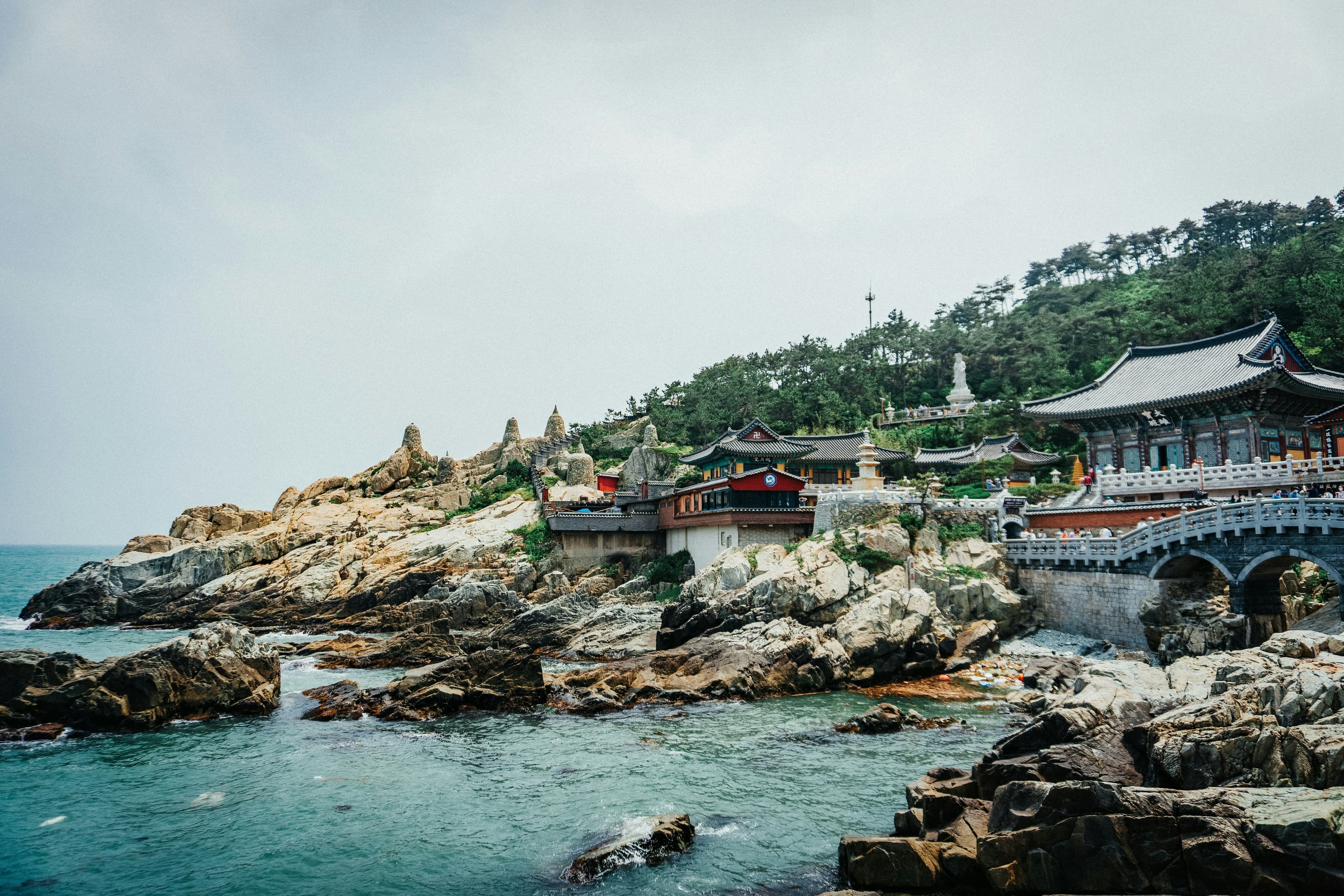 Experience the wave firsthand — Student Travel
